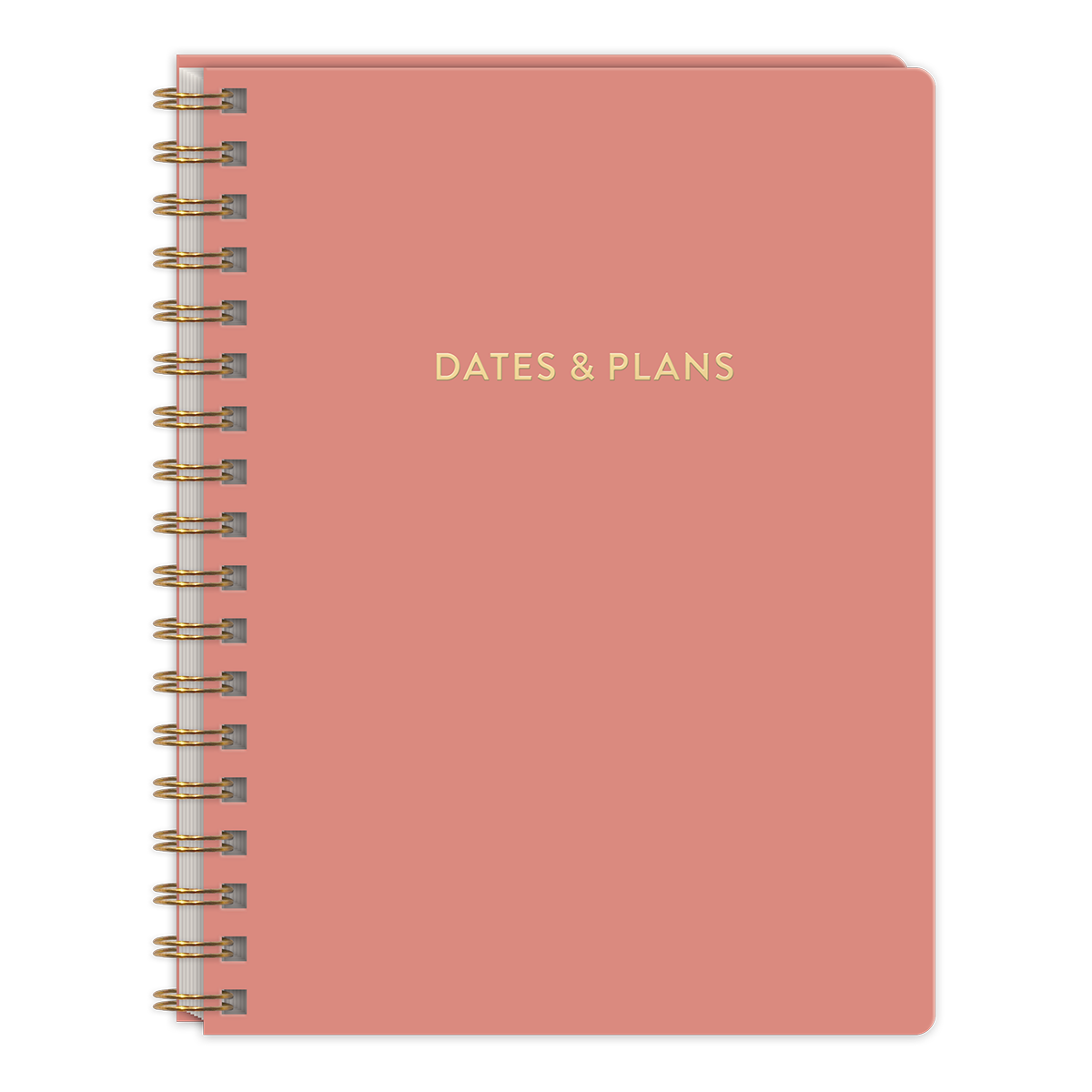 Playful Patterns Clay Undated Planner Product