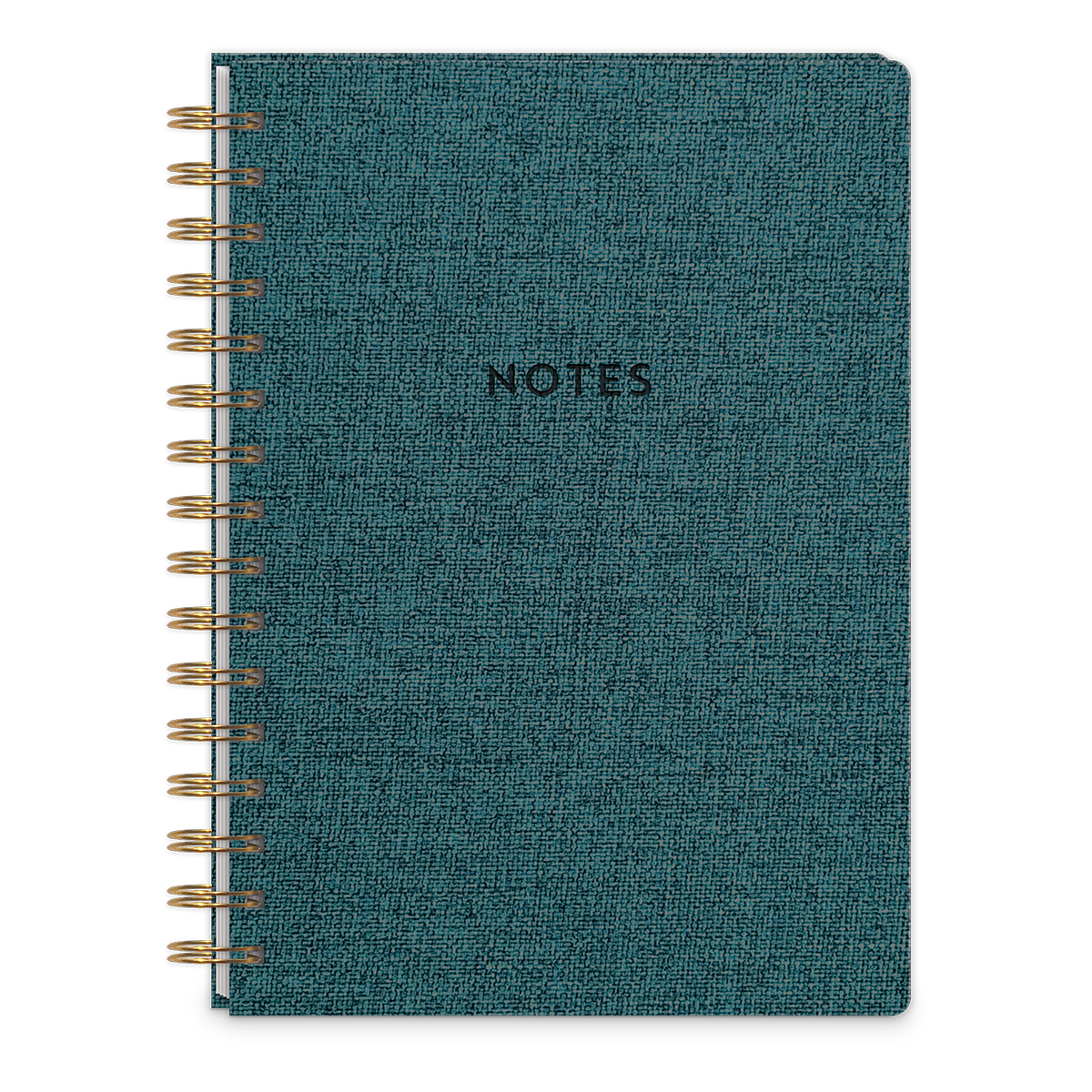 Teal spiral journal for recording thoughts and travel stories.